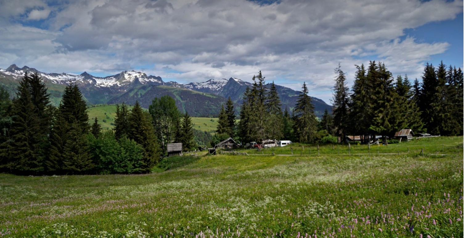 Vue depuis Plan Parc sur la Vallée du Morel — point de vue accessible à pied depuis le Chalet Arpian